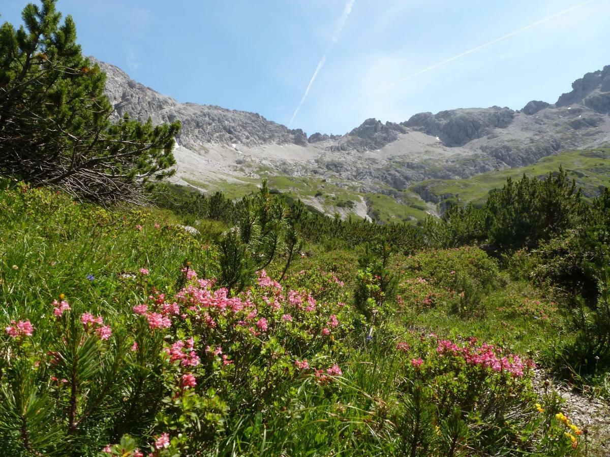 Auszeit Im Allgaeu Зонтхофен Екстериор снимка